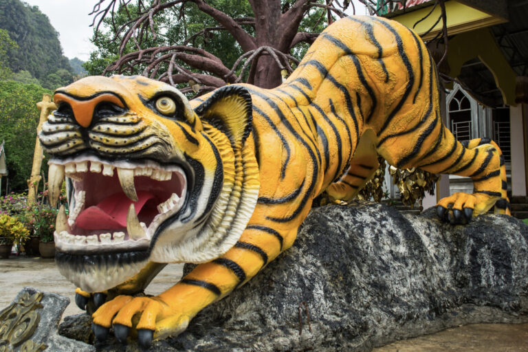 How to Worship the Tiger God for Wealth and Prosperity