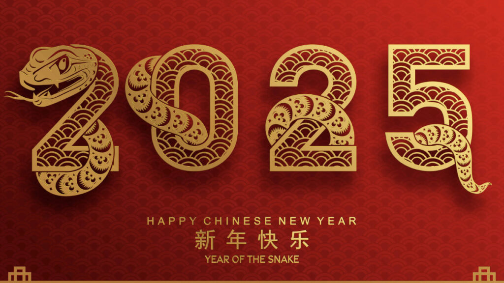 Year of the Snake 2025 Top Chinese Zodiac Predictions and Key Insights